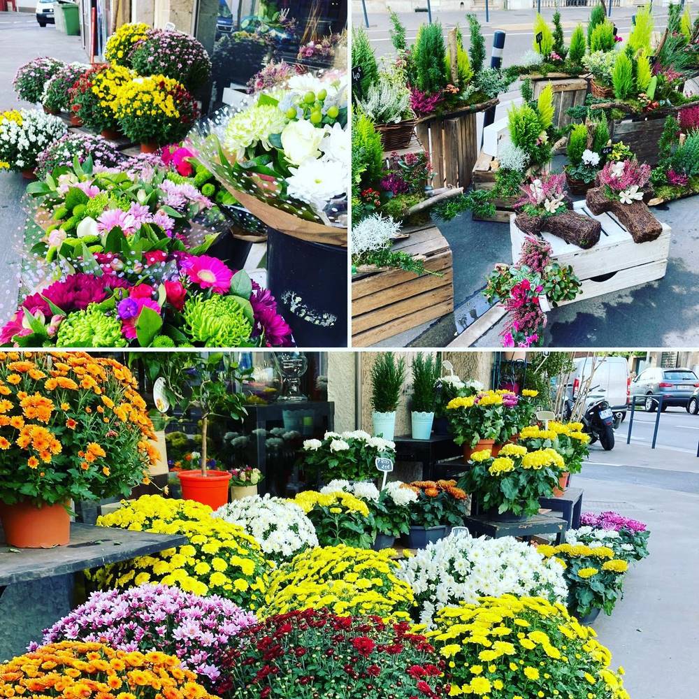 De belles fleurs
