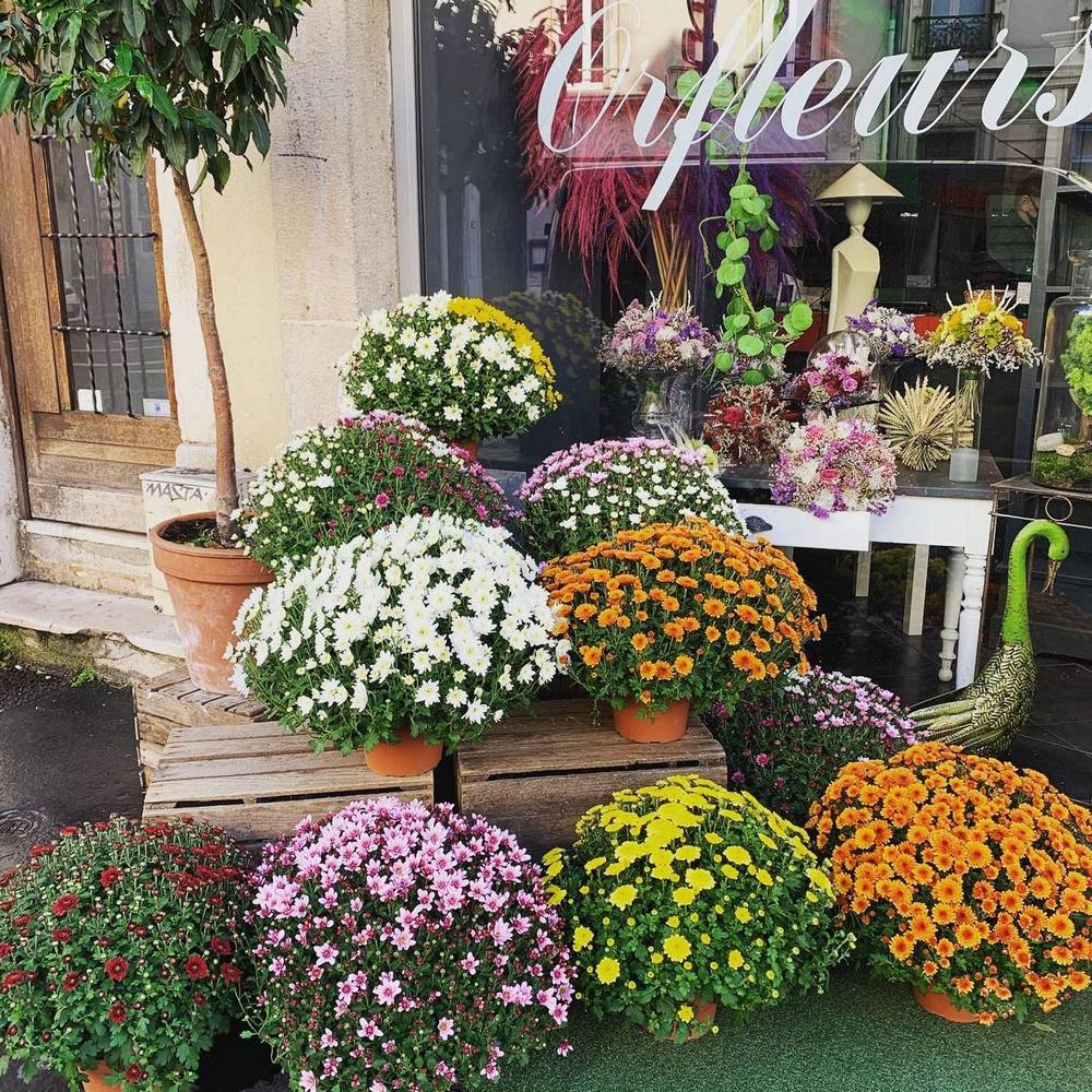 Le magasin (2) Maitre artisan fleuriste à Nancy
