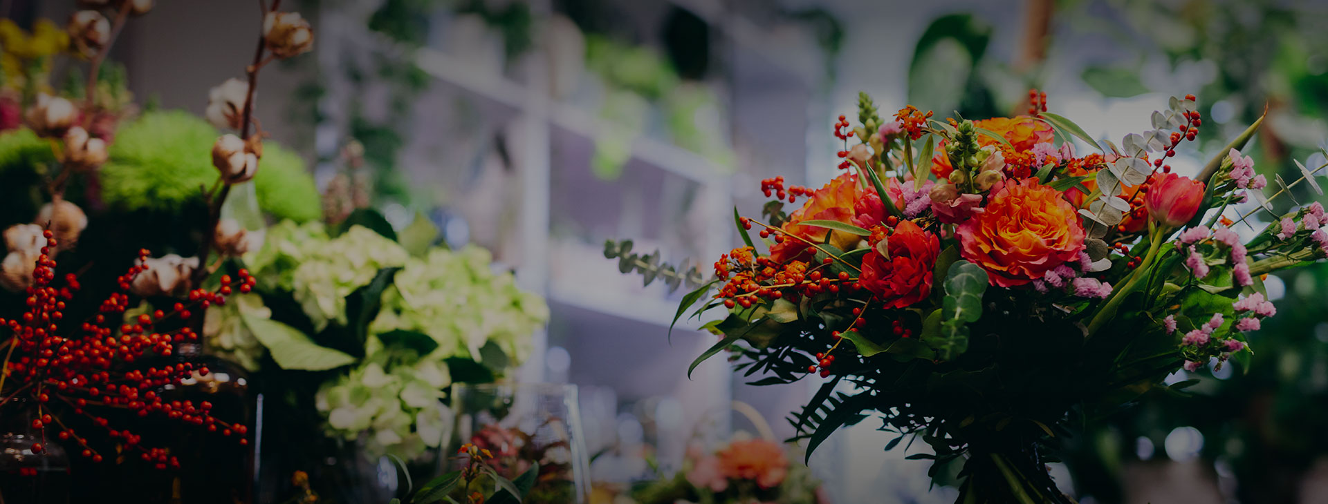 entete fleur et plante